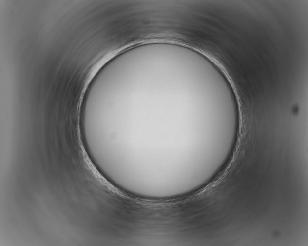 X0000115270949200912111200