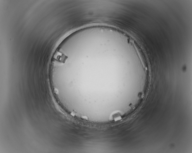 X0000115270950200912111200