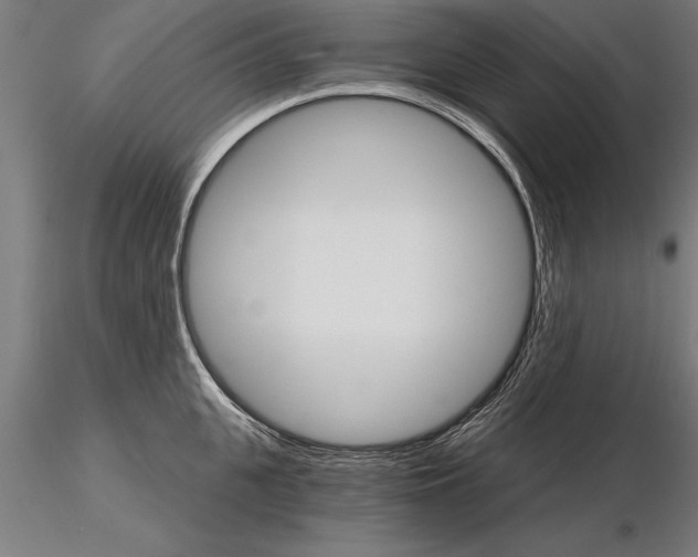 X0000115270951200912111200