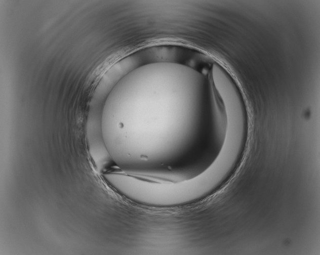 X0000115270953200912111200