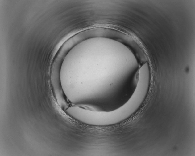 X0000115270955200912111200