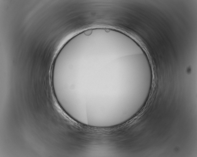 X0000115270958200912111200