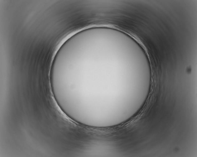 X0000115270959200912111200