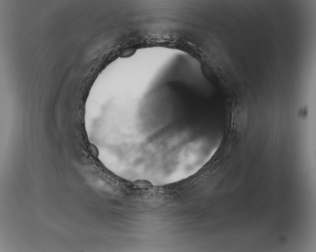 X0000115270961200912111159