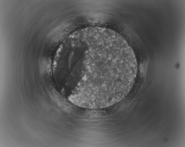 X0000115270963200912111159