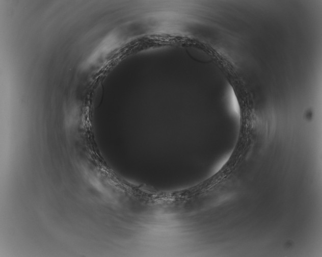 X0000115270965200912111159