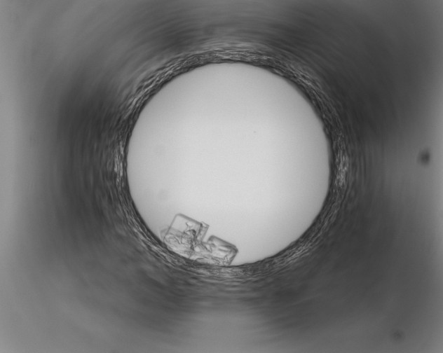 X0000115270966200912111159