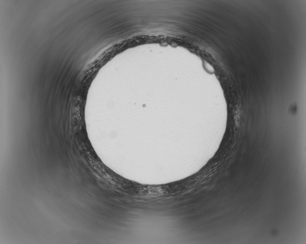 X0000115270968200912111159