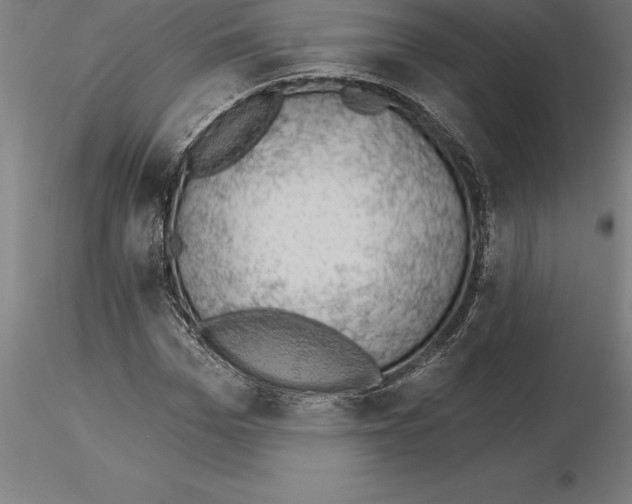 X0000115270969200912111159