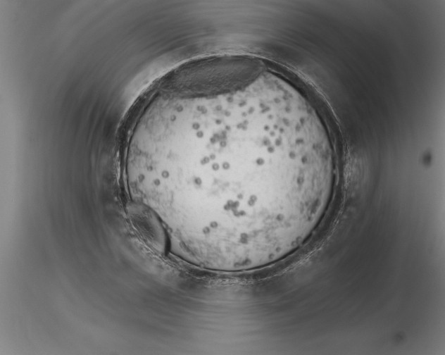 X0000115270973200912111159