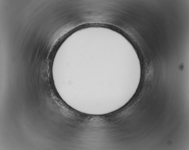 X0000115270974200912111159