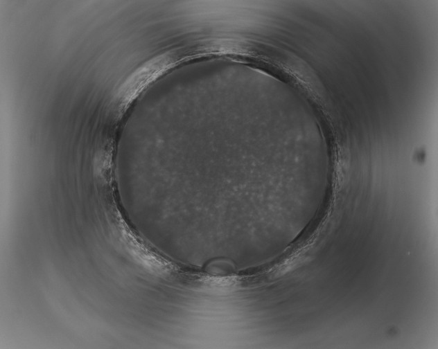 X0000115270977200912111159