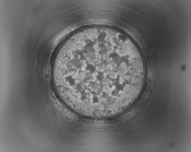 X0000115270979200912111159