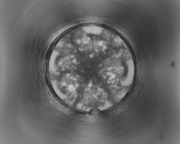 X0000115270983200912111159