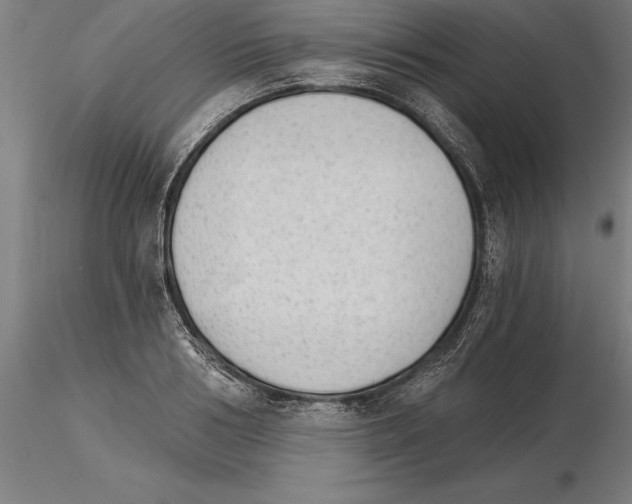 X0000115270986200912111159