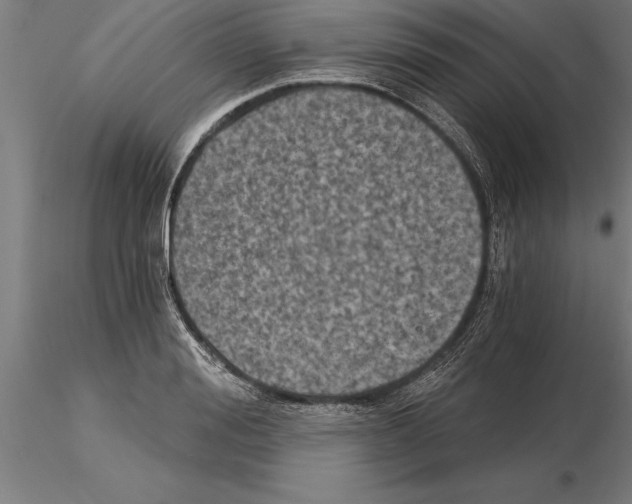 X0000115270988200912111159