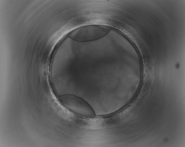 X0000115270989200912111159