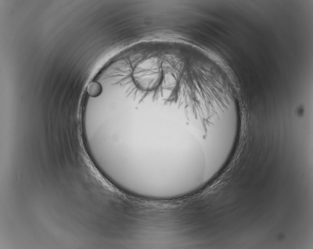 X0000115270990200912111159