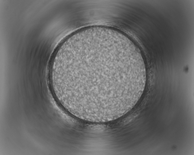 X0000115270991200912111159