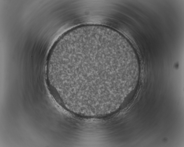 X0000115270992200912111159