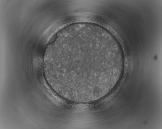 X0000115270993200912111159