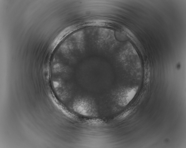 X0000115270994200912111159