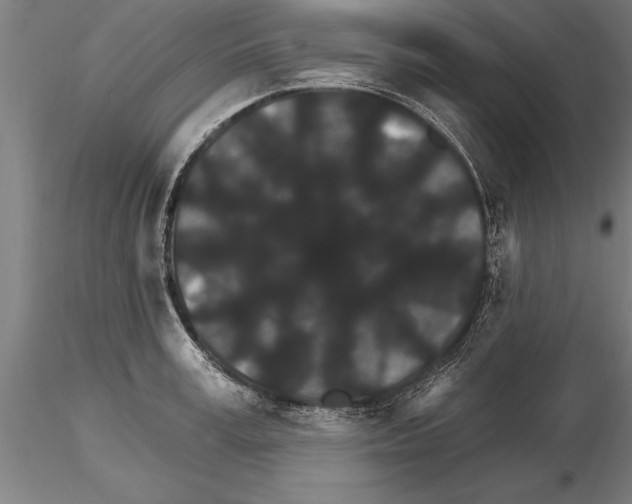 X0000115270995200912111159