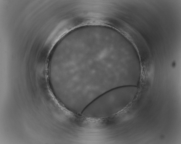 X0000115270997200912111159