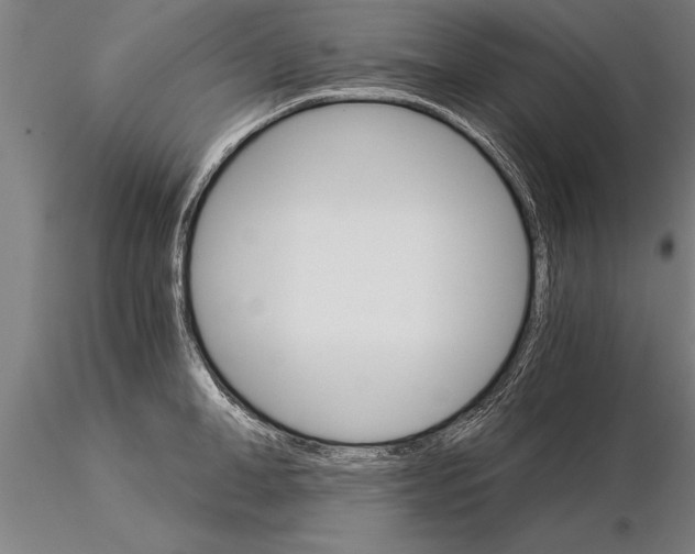 X0000115270998200912111159