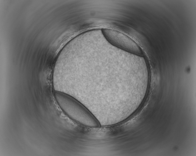 X0000115271001200912111159