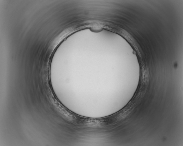 X0000115271002200912111159