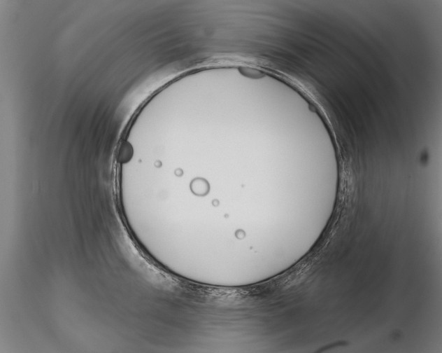 X0000115271003200912111158