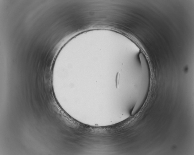 X0000115271004200912111158