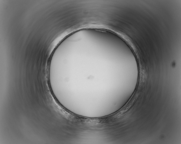 X0000115271006200912111158