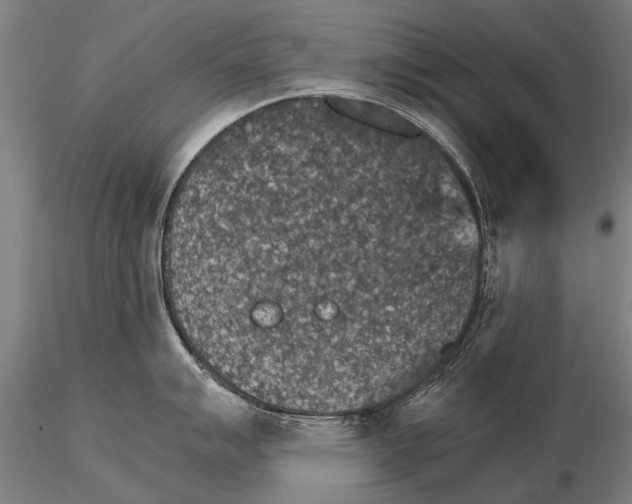 X0000115271007200912111158