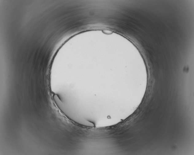 X0000115271008200912111158