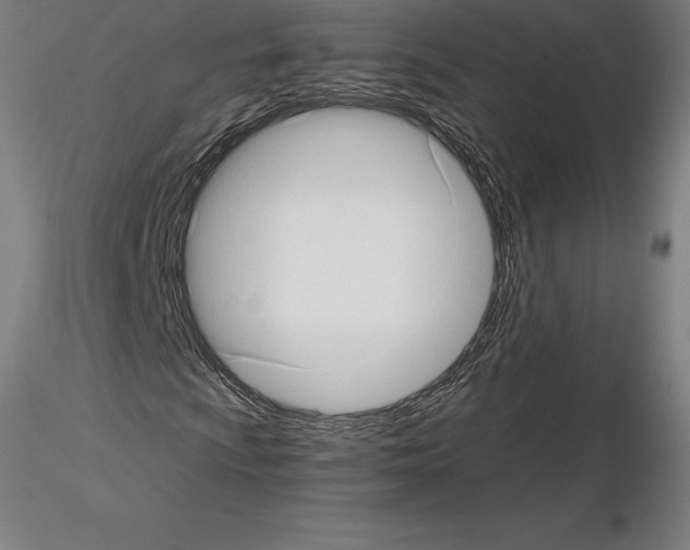 X0000115271009200912111158