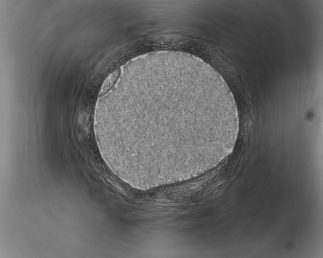 X0000115271010200912111158