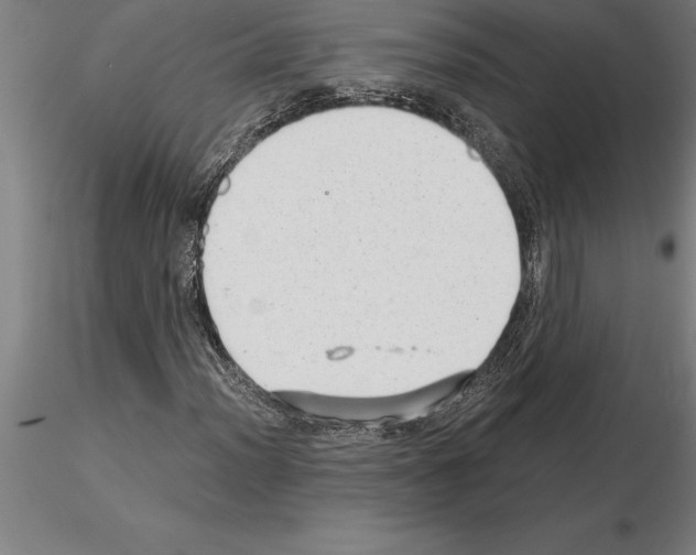 X0000115271012200912111158