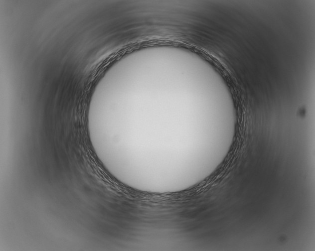 X0000115271015200912111158