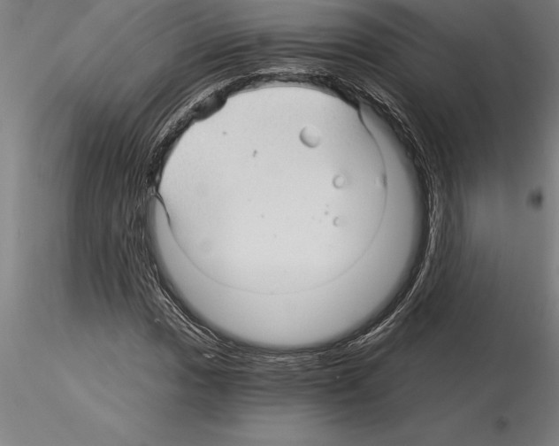 X0000115271017200912111158