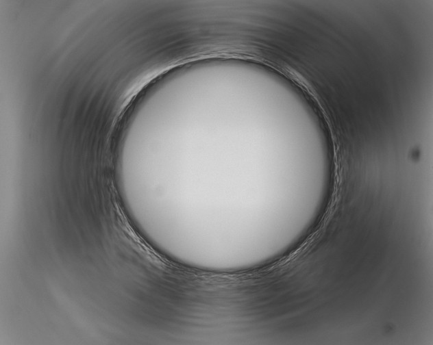 X0000115271019200912111158