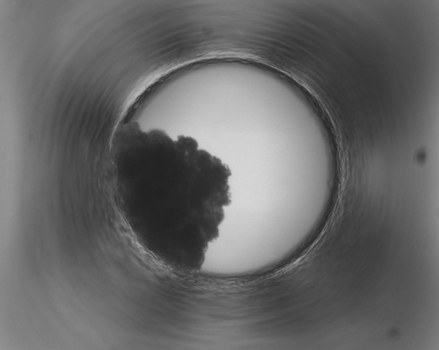 X0000115271022200912111158