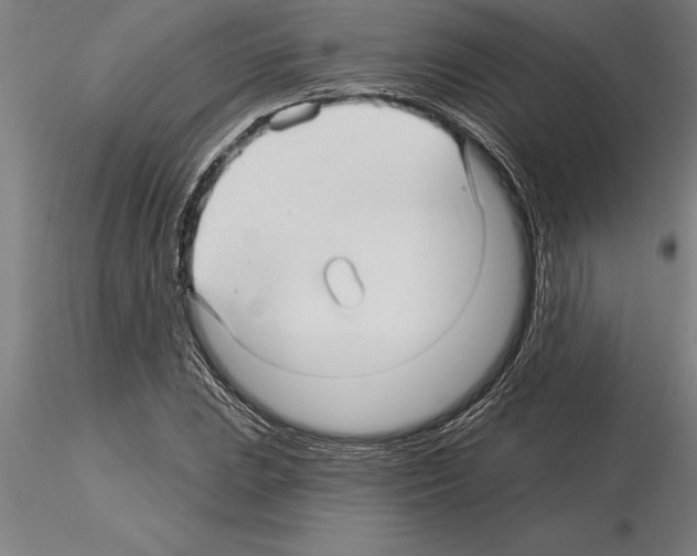 X0000115271023200912111158