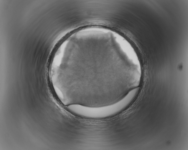 X0000115271024200912111158