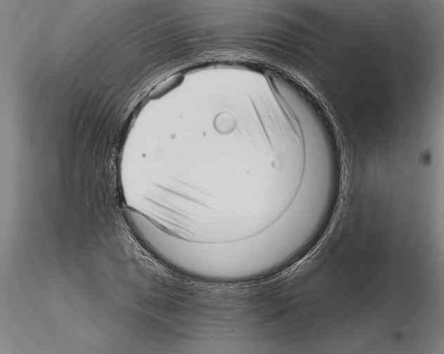 X0000115271025200912111158