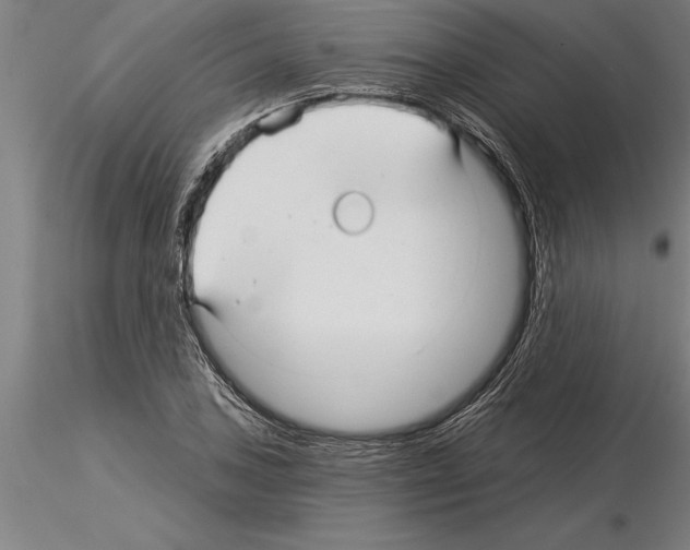 X0000115271027200912111158