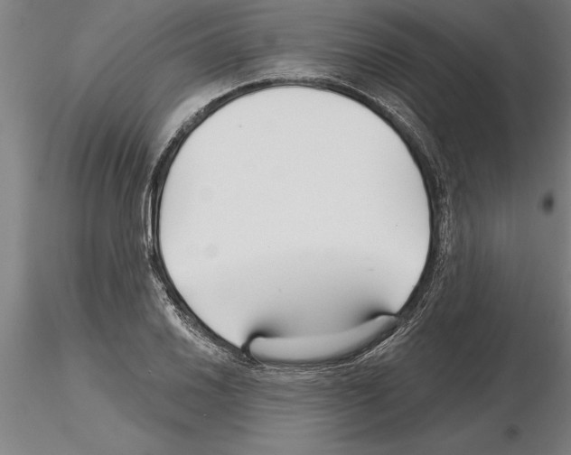 X0000115271030200912111158