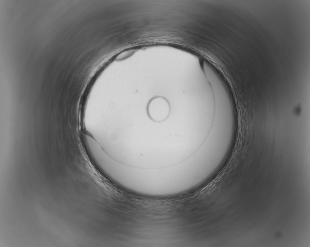 X0000115271031200912111158