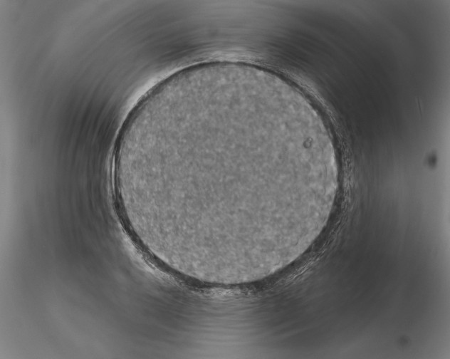 X0000115271032200912111158